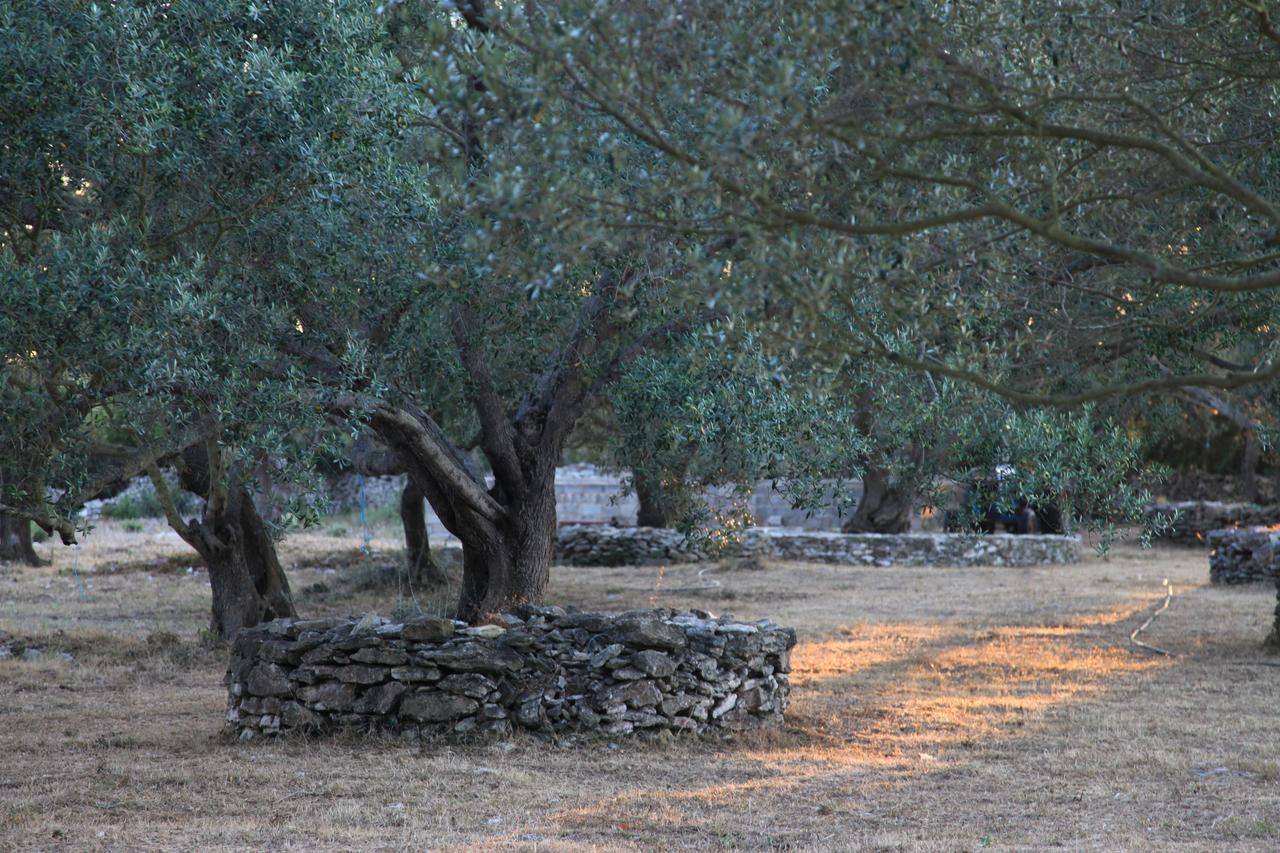 A Loghja Di Cavallo Morto Bonifacio  Exteriör bild