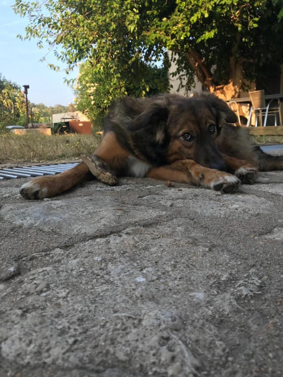 A Loghja Di Cavallo Morto Bonifacio  Exteriör bild