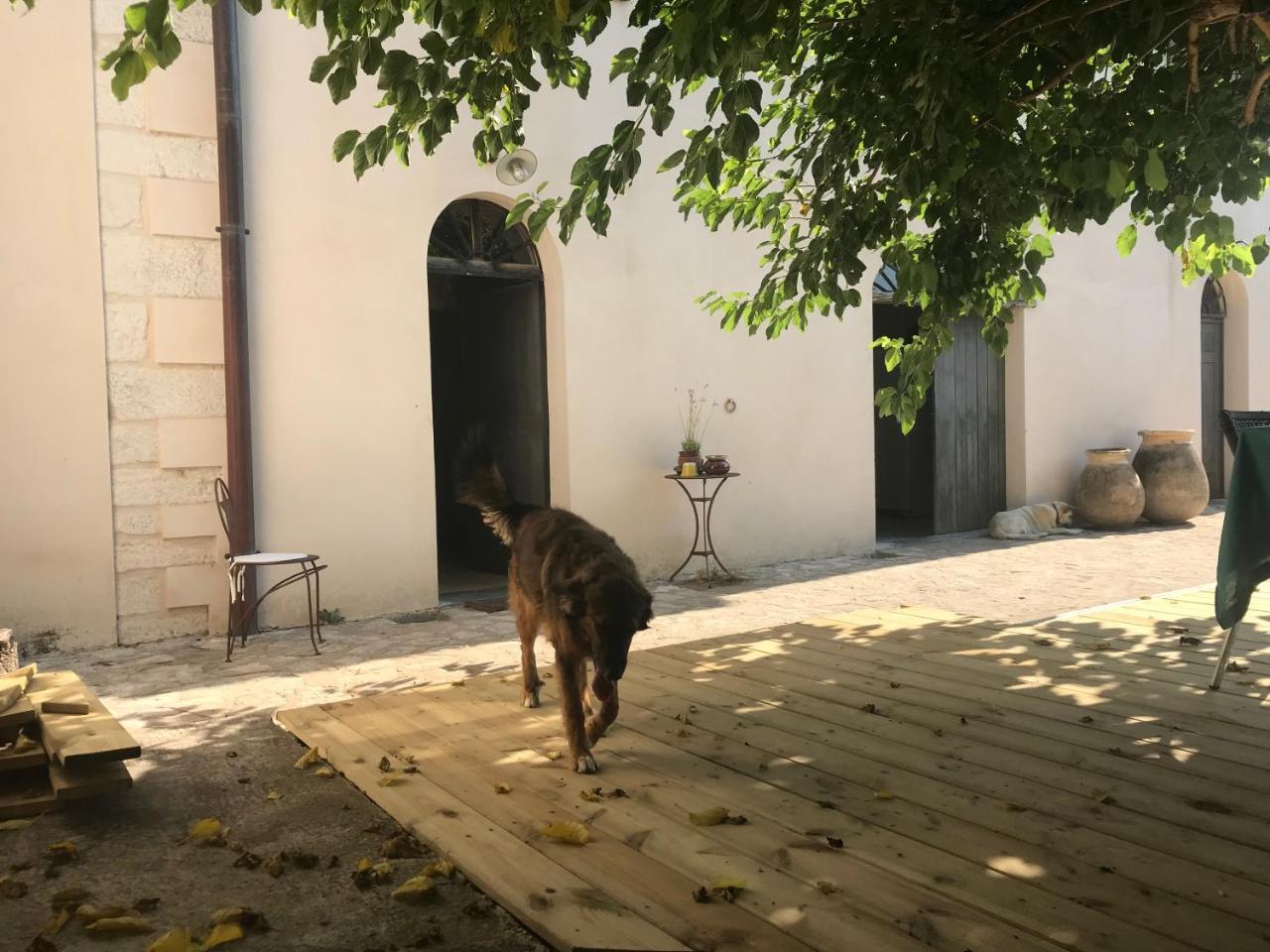 A Loghja Di Cavallo Morto Bonifacio  Exteriör bild